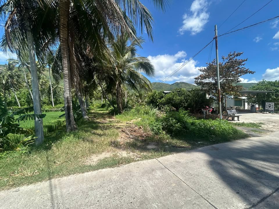 Đất Vườn Sông Cầu 551m² Sổ Đỏ Thổ Cư - Giá Đầu Tư 1.5 Tỷ