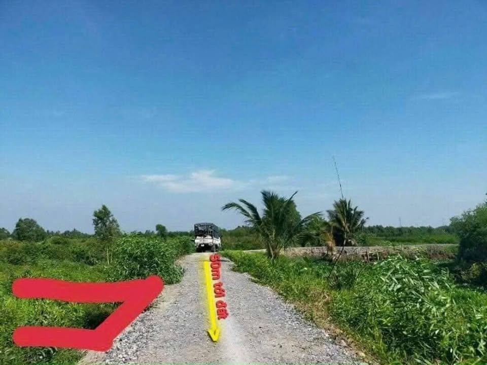 Đất nền Bình Đức, Bến Lức 1002m² - Sổ sẵn, chuyển thổ 50%!