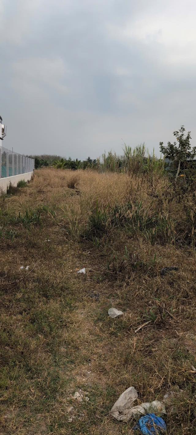 Đất nền Châu Thành, Tây Ninh 1224m² - Sổ đỏ chính chủ, công chứng ngay!