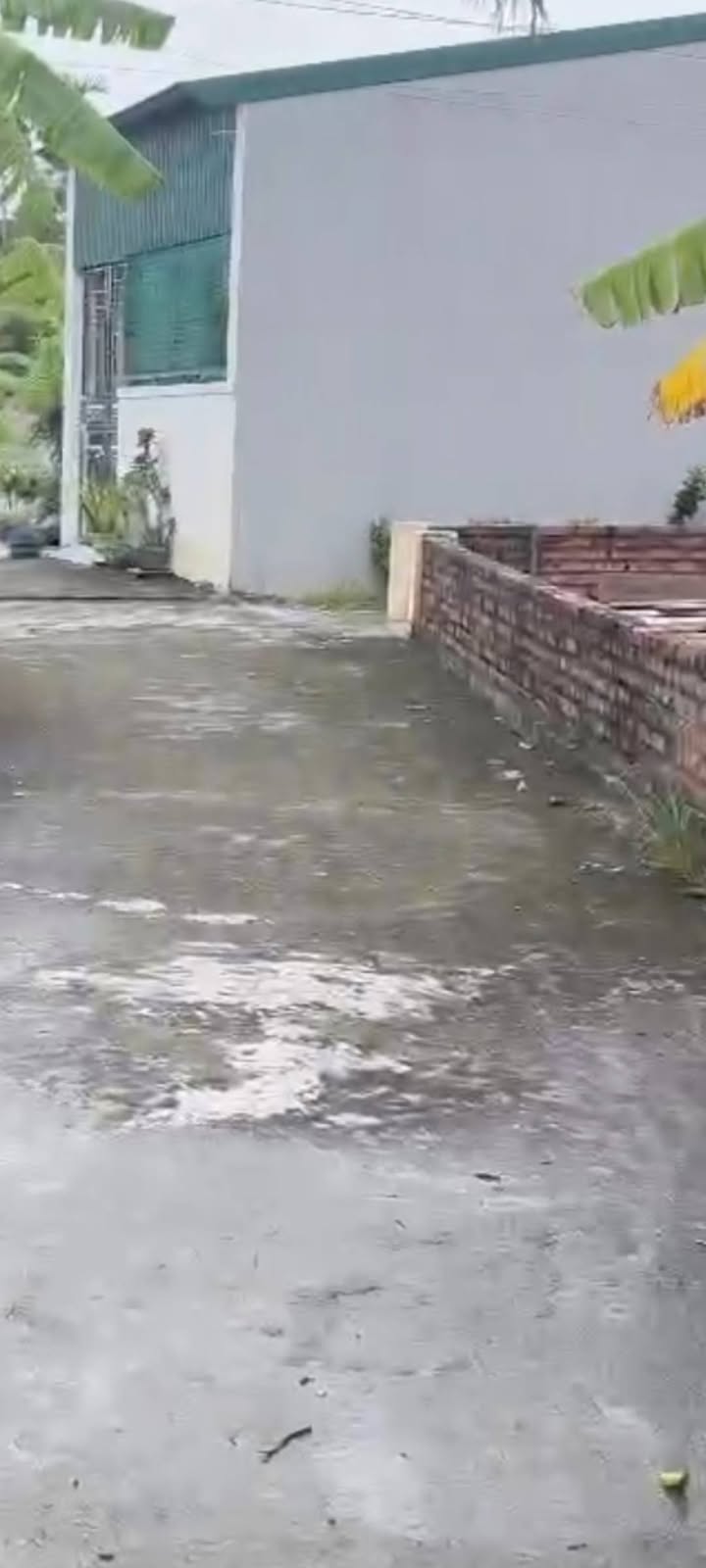 Đất nền Kiêu Hạ, An Dương 55m² - Giá 595 triệu, Sổ đỏ sẵn sàng