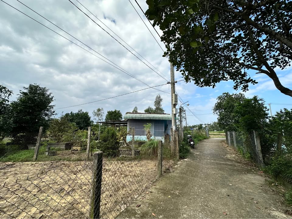 Đất Nền 450m² Hương Trà, Cẩm Lệ - Sinh thái xanh, xây nhà vườn mơ ước!