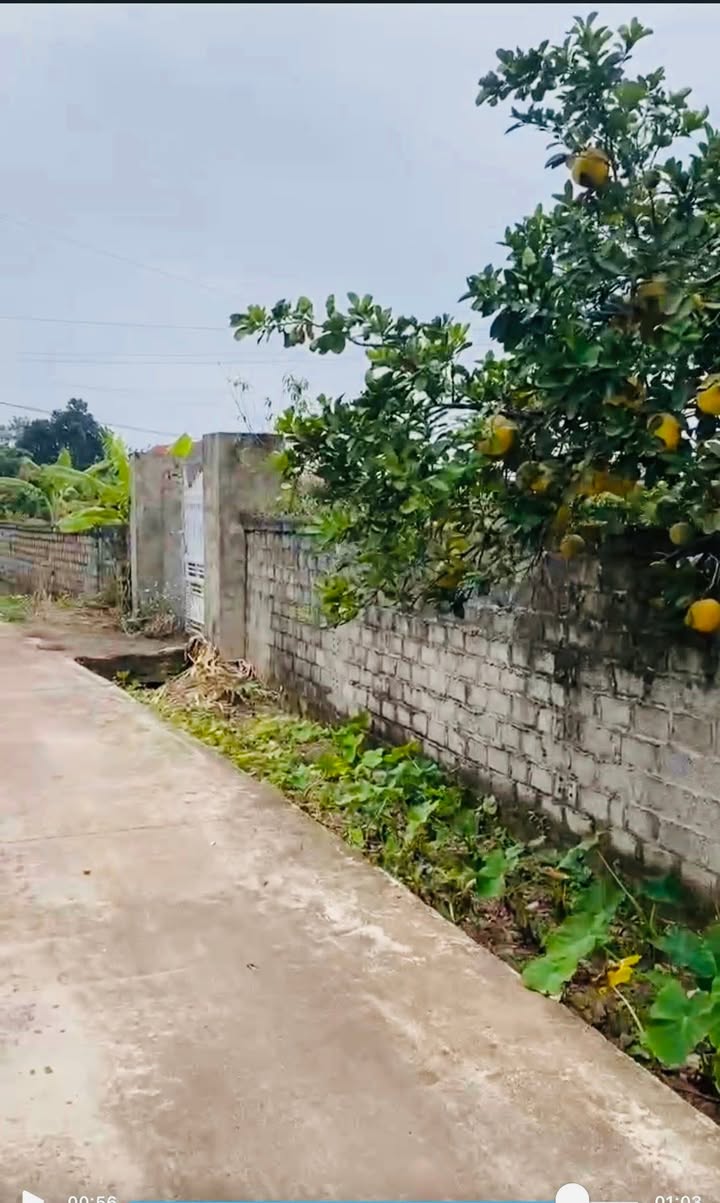 Đất Vườn Hồng Giang, Bắc Giang 10.000m² - Nghỉ Dưỡng Lý Tưởng!