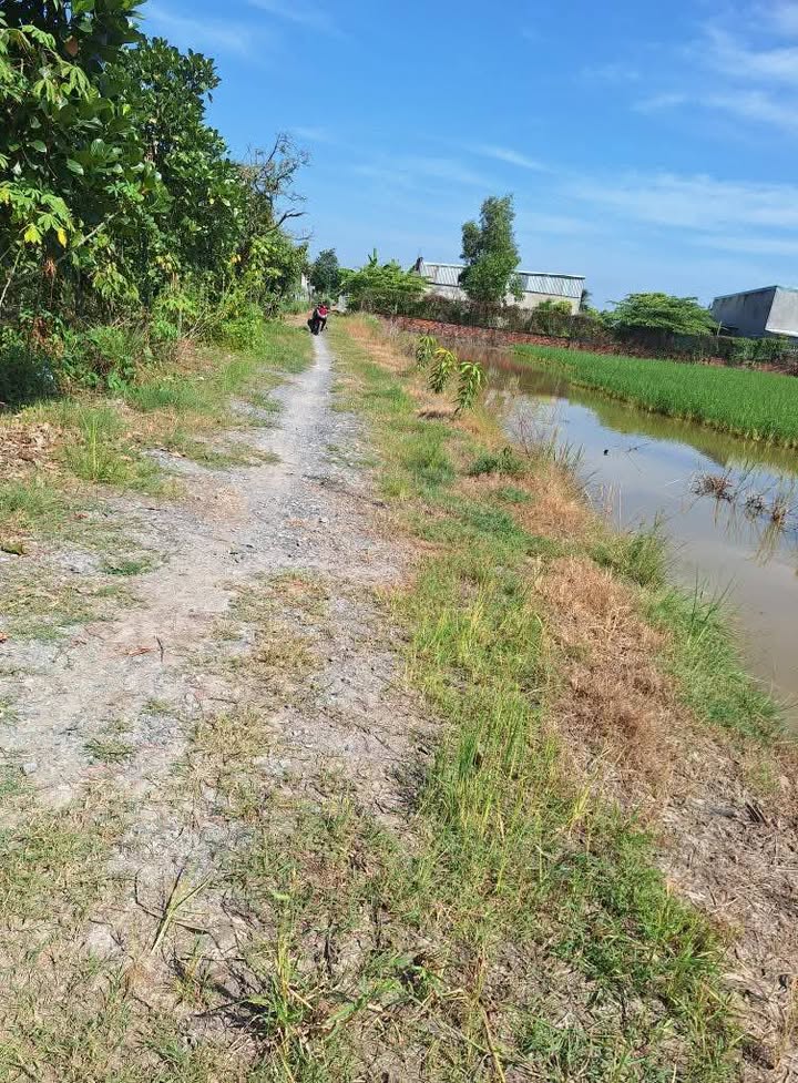 Đất Lúa Cần Đước 2400m² Giá 3.4 Tỷ - Vị Trí Đẹp Đầu Tư Sinh Lời!