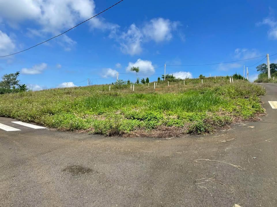 Đất nền Lộc An, Bảo Lâm 304m² - Tiềm năng tăng giá vượt trội!