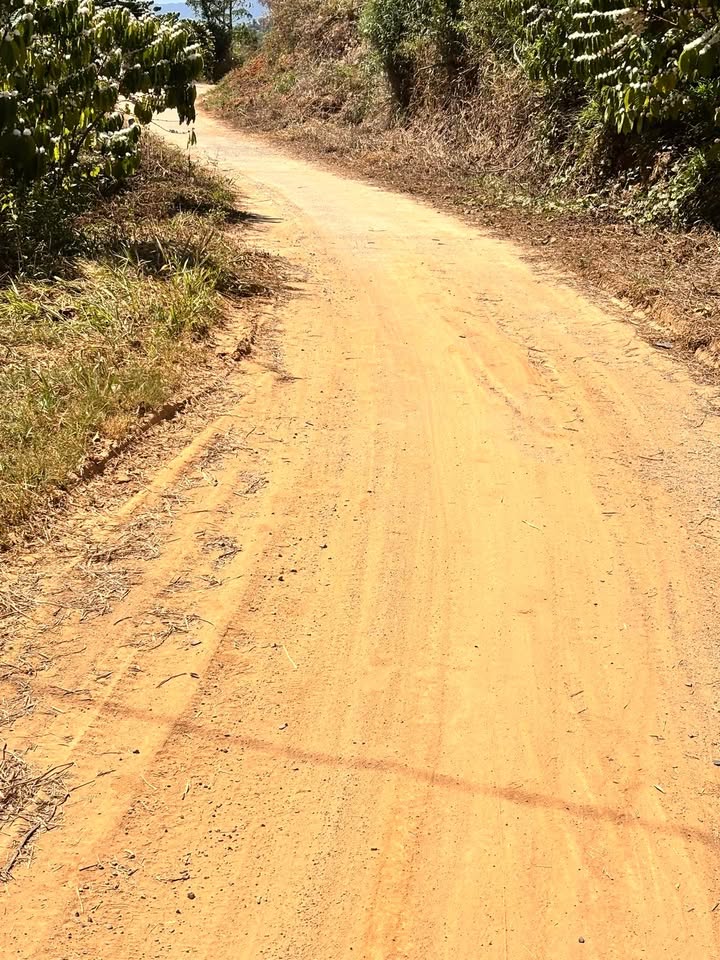 Đất vườn Tân Lạc Bảo Lâm 1800m² giá 1.9 tỷ - Sổ hồng chính chủ