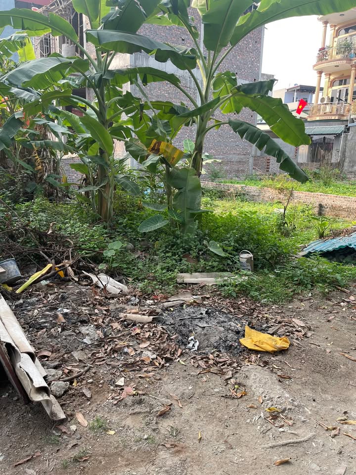 Đất nền Đông Anh 50m² - Sổ đỏ chính chủ, tiềm năng sinh lời!