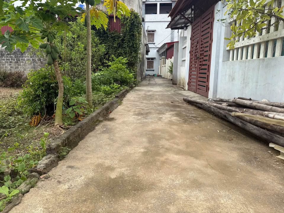 Đất nền Hưng Yên: 70m² Kim Động - Đầu tư F0 giá hơn tỷ