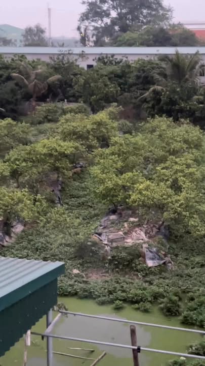 Cho thuê phòng trọ Xã Trần Hưng Đạo, Lý Nhân - Gần Thái Hà, Giá Thỏa Thuận