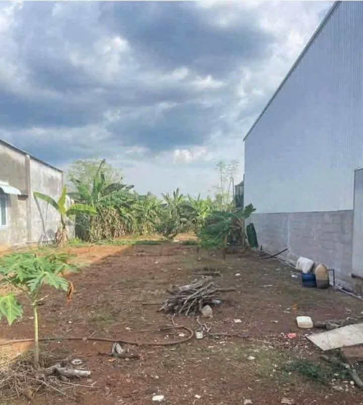 Đất nền Xuân Định 125m² giá 190 triệu - Sổ đỏ chính chủ!