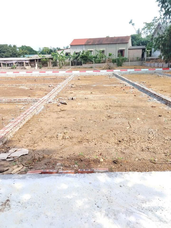 Đất nền Cẩm Lĩnh Ba Vì 100m² giá 700 triệu - Sổ đỏ chính chủ