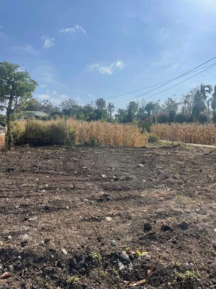 Đất nền 3822m² Xã Quảng Hiệp, Cư Jút - Giá F0 chỉ 27tr/m²