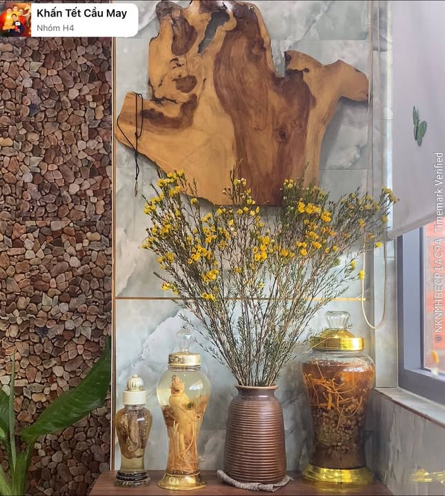 Đất nền Ia Blang Chư Sê 432m² - Tiềm năng tăng giá vượt trội!