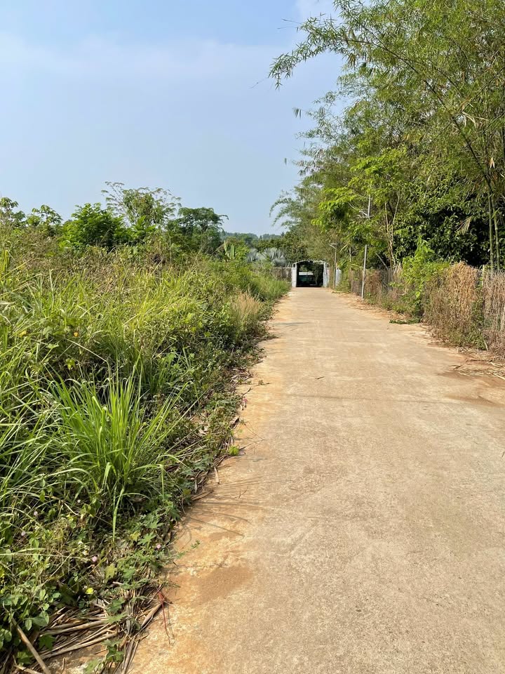 Đất nền Định Quán 1145m² giá 1.05 tỷ - Sổ đỏ chính chủ