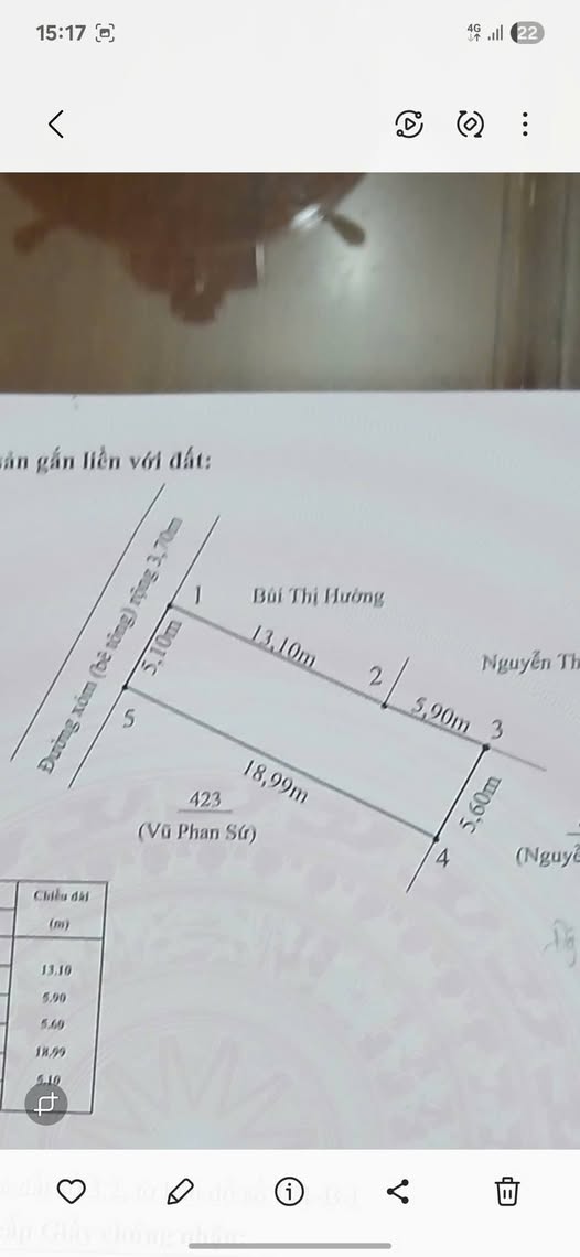Bán Đất Tặng Nhà Cấp 4, 100m² Thôn Thủy Giang, Hải Phòng - Tiềm Năng Sinh Lời Cao