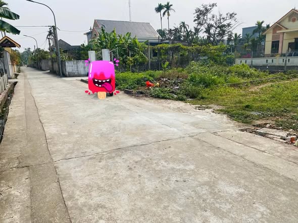 Đất nền Lai Hạ Tân Dân 70m² giá 800 triệu - Sổ đỏ chính chủ