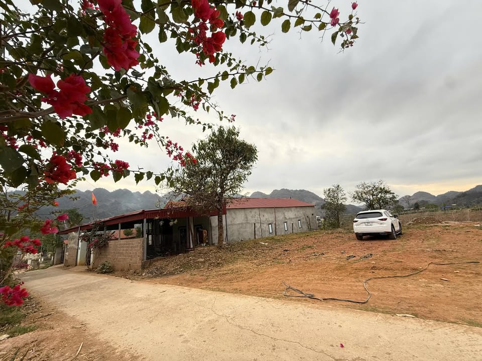 Đất nền Bản Áng Mộc Châu 120m² - Tiềm năng tăng giá vượt trội!