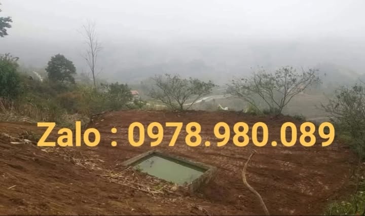 Bán Đất Vườn Vân Hồ Sơn La 2ha Giá 1 tỷ - Nghỉ Dưỡng Lý Tưởng