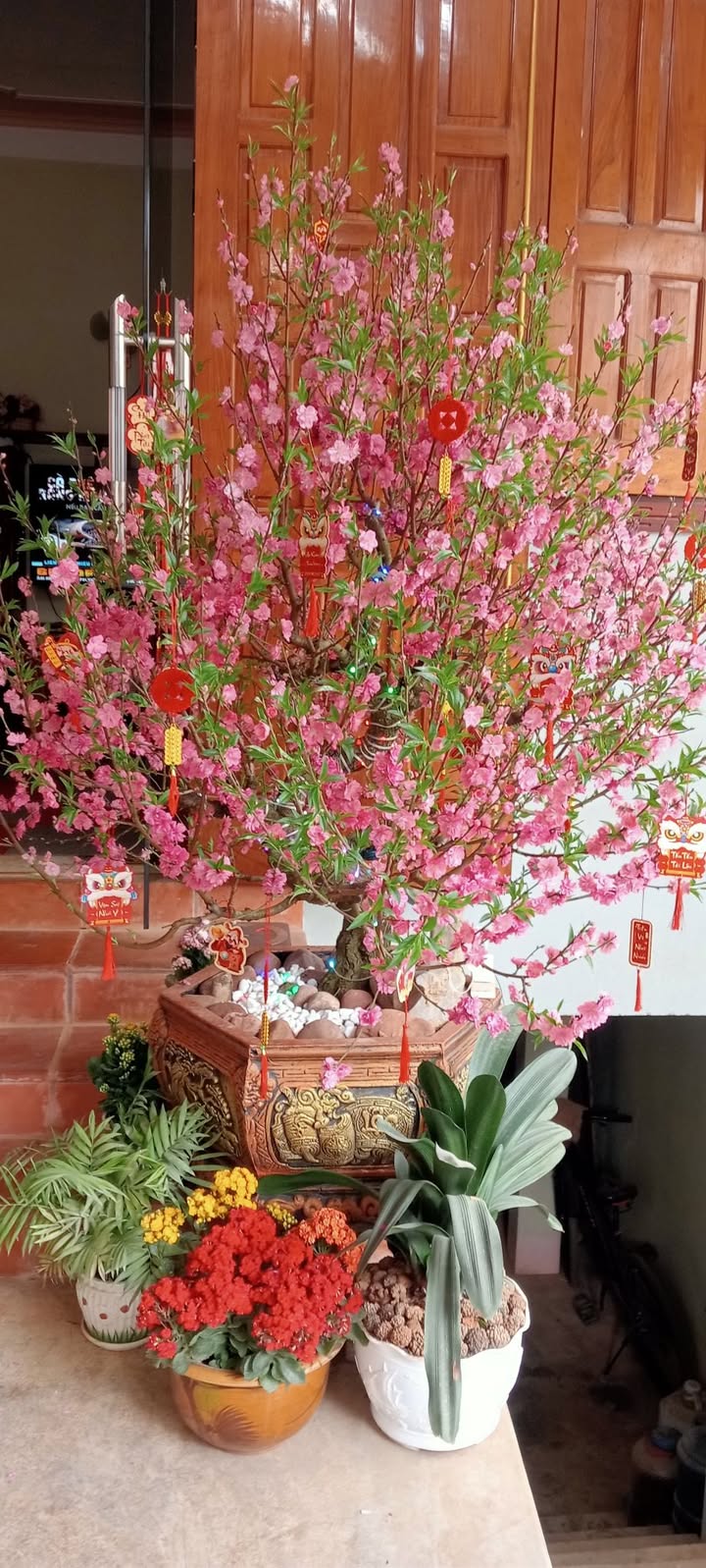 Đất nền Mộc Châu 1200m² - Sổ đỏ chính chủ, giá tốt đầu năm