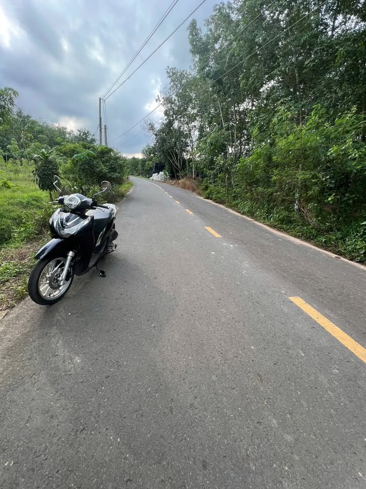 Đất mặt tiền Phú Riềng Đỏ 1000m² - Sổ đỏ chính chủ, đầu tư sinh lời!