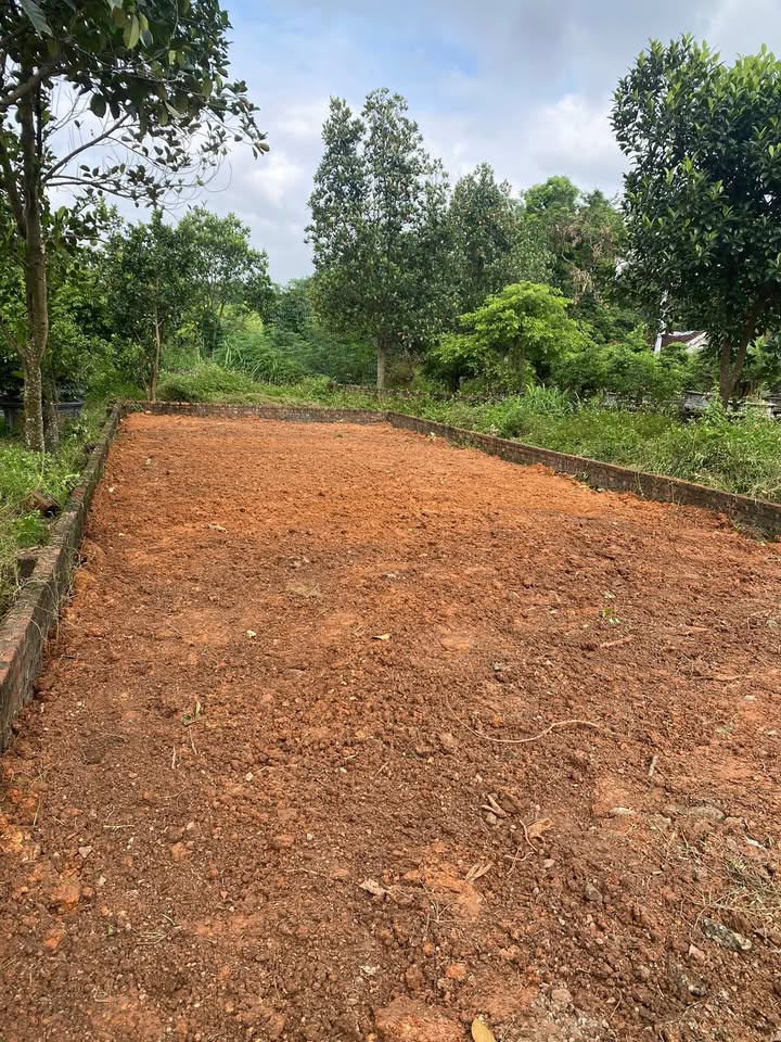 Đất nền Thôn Thái Lai Sóc Sơn 100m² - Đường to ô tô, sổ đỏ chính chủ!