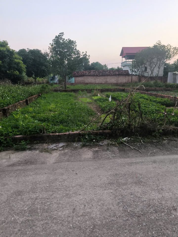 Đất nền Sóc Sơn 126m² giá 2.512 tỷ - Sổ đỏ chính chủ!