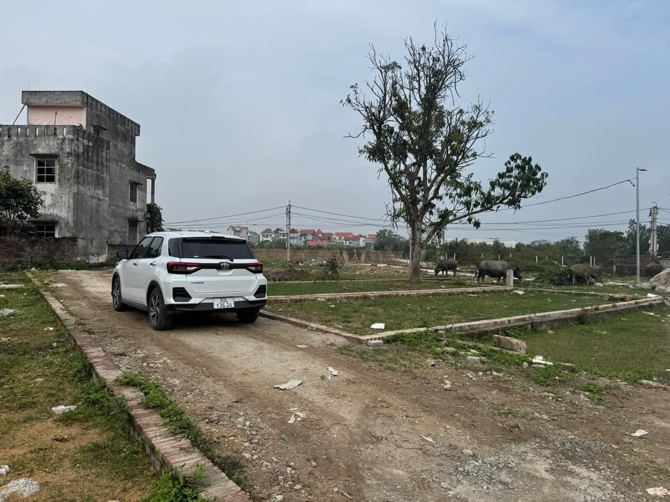 Đất nền Tổ 9 Quang Minh, Mê Linh 62m² chỉ 2 tỷ - Tiềm năng tăng giá