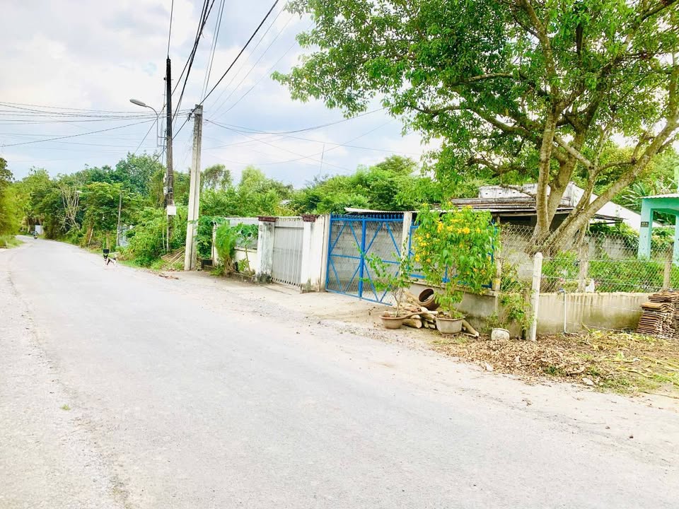 Đất nền 1140m² mặt tiền Trần Thị Xông, Nhà Bè - Sổ hồng riêng, giá 5 tỷ