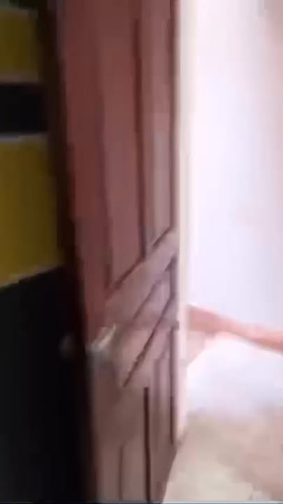 Nhà mặt tiền Nguyệt Cư Việt Trì 88m² giá 5 triệu - Thích hợp kinh doanh!