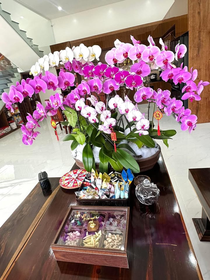 Đất Nền Hẻm Lê Quý Đôn, Buôn Hồ 95m² - Sổ Hồng Thổ Cư, Giá Tốt Đầu Năm