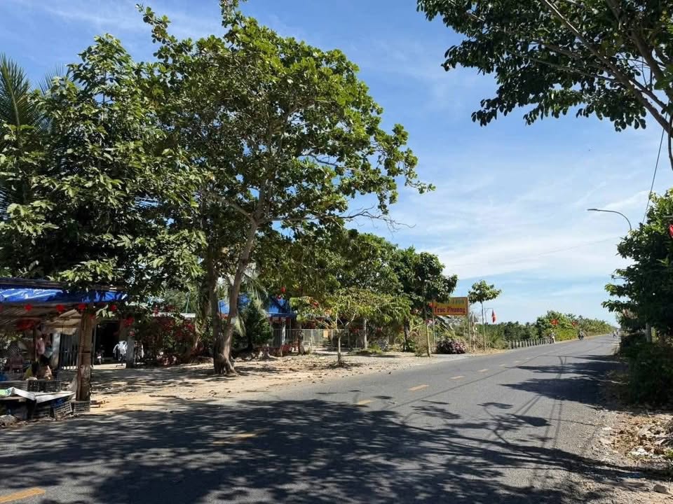 Bán Đất Nền Đường Tỉnh 910 Bình Minh 120m² - Sổ Hồng Sẵn!