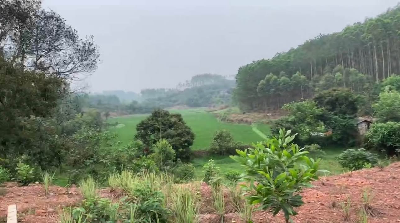 Đất Vườn Yên Thế 3000m² Giá 2 Tỷ - Nghỉ Dưỡng Lý Tưởng