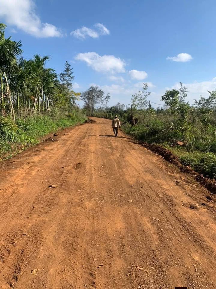 Đất Mặt Tiền Lý Chính Thắng Buôn Hồ 1404m² - Quy Hoạch Đẹp, Sẵn Sàng Kinh Doanh