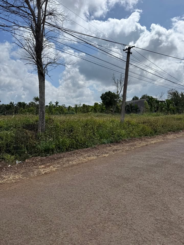 Đất Vàng Xã Ea Drông, Buôn Hồ 1800m² - Mặt Tiền Đường Nhựa, Giá Đầu Tư