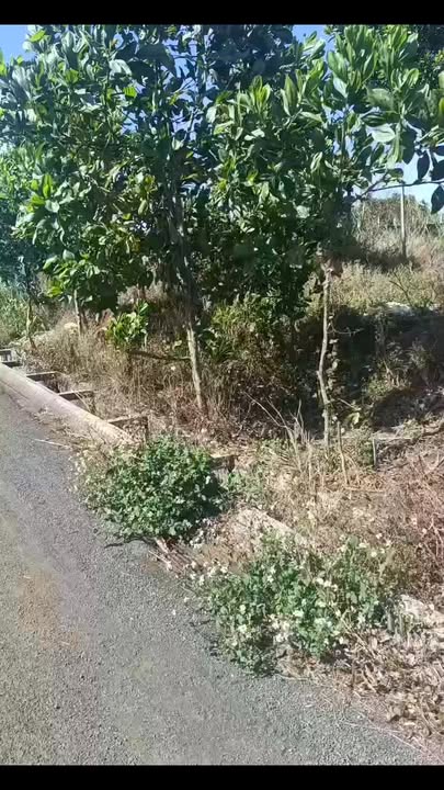 Đất Vàng Buôn Hồ - Mặt Tiền Trần Huy Liệu 510m² - Giá 2.9 Tỷ