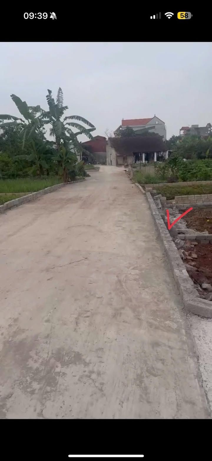 Đất nền Bạch Hạ, Phú Xuyên 80.5m² - Đường ô tô vào tận đất