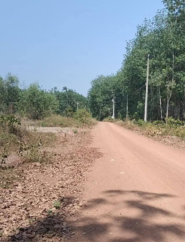 Bán đất An Bình 2, Thuận An - 330m² Sổ Riêng, Giá 950 Triệu