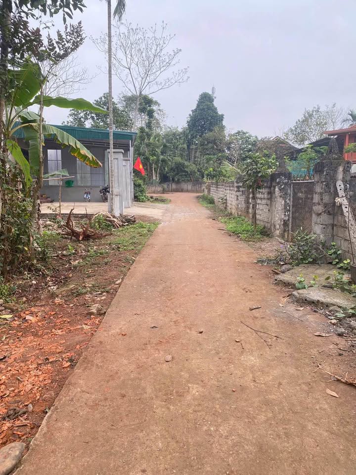 Đất nền Lạc Sơn Hòa Bình 180m² - 3 mặt tiền, tiềm năng tăng giá!