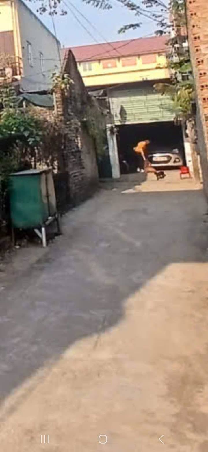 Bán đất Mê Linh Hà Nội 61m² giá 3 tỷ - Sổ đỏ chính chủ