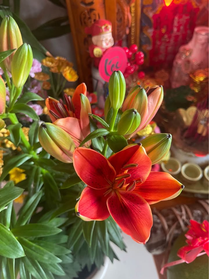 Đất nền Hòa Thọ Đông Cẩm Lệ 76.6m² giá tốt - Sổ đỏ chính chủ!