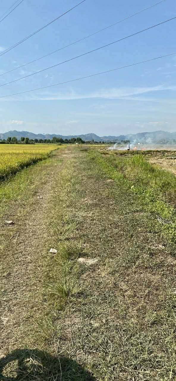 Đất nền Đạ Tẻh 792m² giá 620 triệu - Tiềm năng tăng giá!