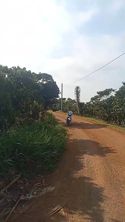 Đất nền Lộc Ngãi Bảo Lâm 1100m² giá 750 triệu - Sổ đỏ chính chủ