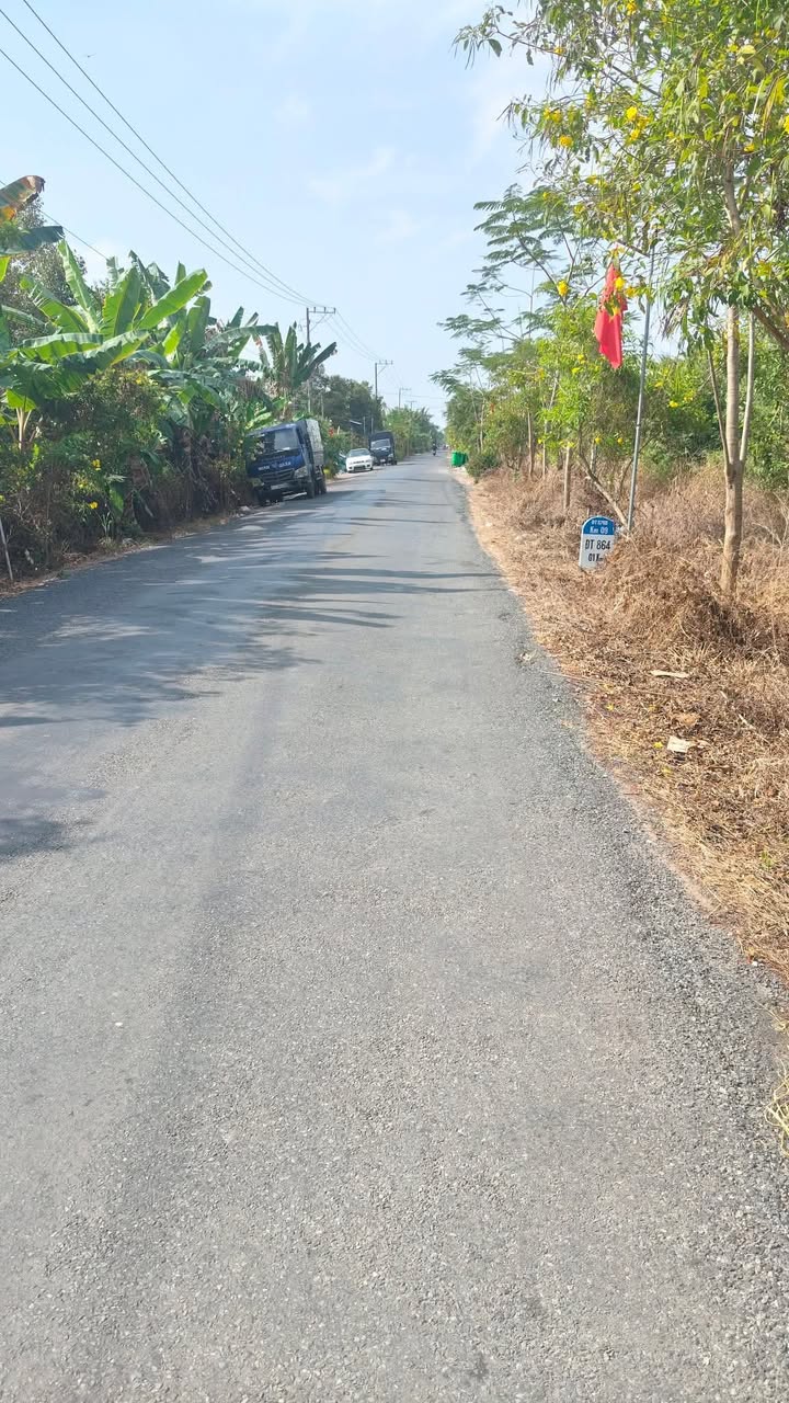 Đất Nền Tỉnh Lộ 875B Cai Lậy 705m² Giá 3.75 Tỷ - Sổ Đỏ Chính Chủ