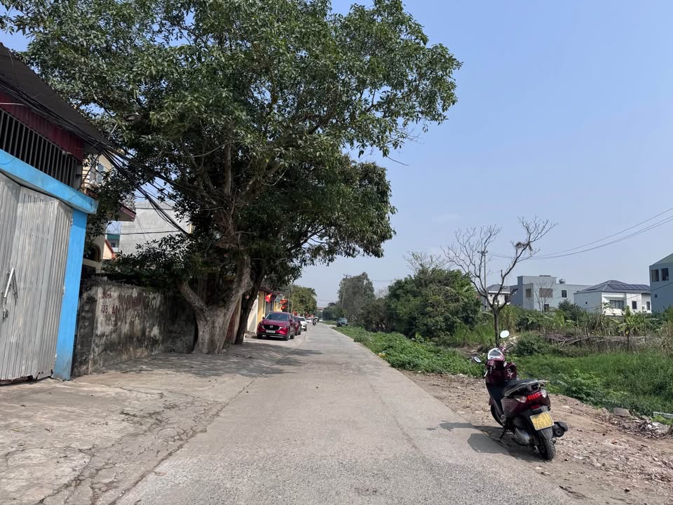 Đất nền Lý Nhân Tông 150m² - Tiềm năng tăng giá vượt trội