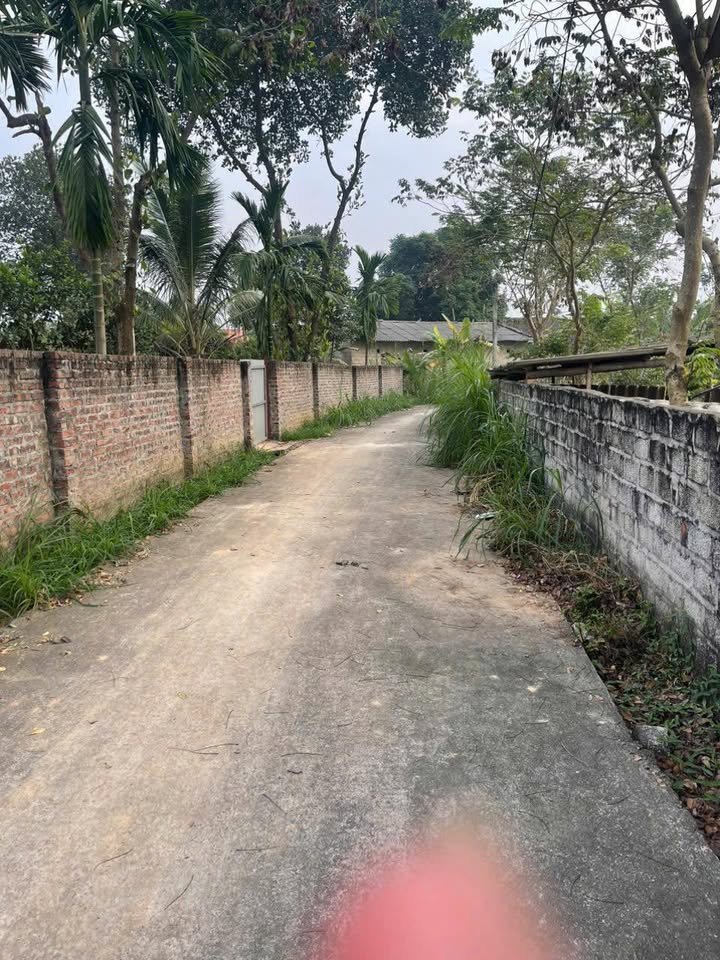 Đất Vườn 520m² 2 Mặt Tiền TT Hợp Hòa, Vĩnh Phúc - Giá Đầu Tư 1.09 Tỷ