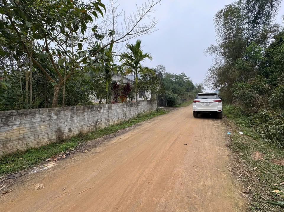 Đất nền Xuân Thủy Yên Lập 630m² - Tiềm năng tăng giá vượt trội!