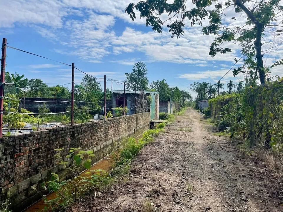 Bán đất Sài Sơn Quốc Oai 432m² giá 1.3 tỷ - Sổ đỏ chính chủ!