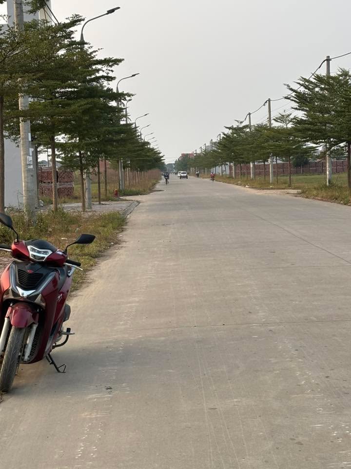 Đất nền Tân Hưng, Bình Giang, Hải Dương 100m² - Tiềm năng tăng giá!