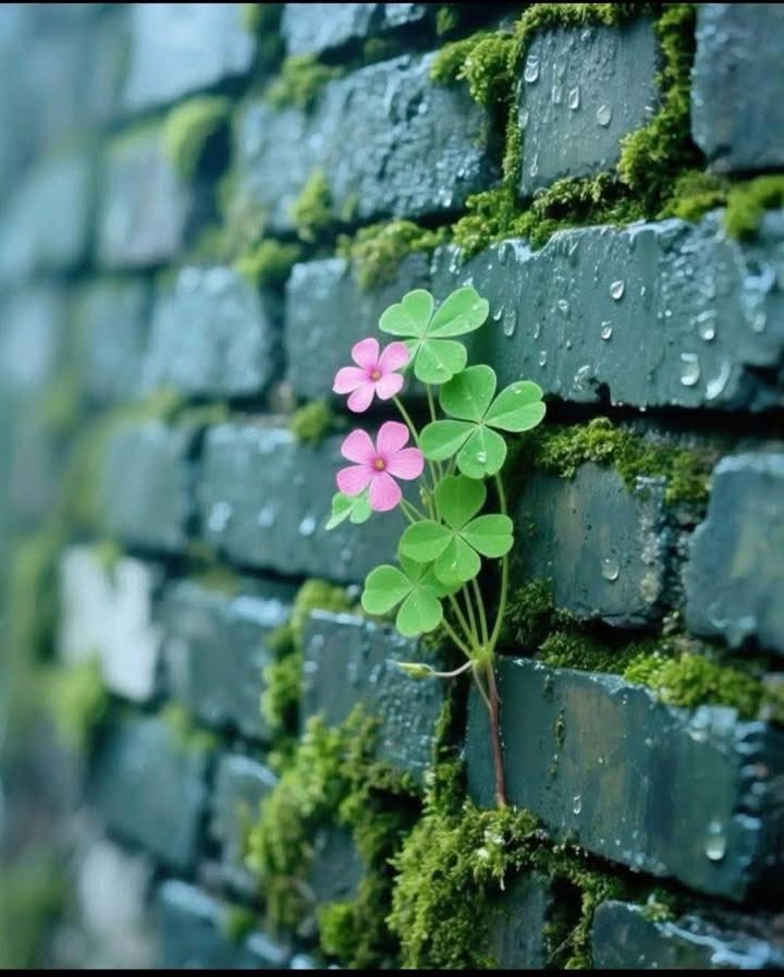 Cho thuê nhà 4 tầng Bùi Xương Trạch, Thanh Xuân - 28m², 7 triệu/tháng