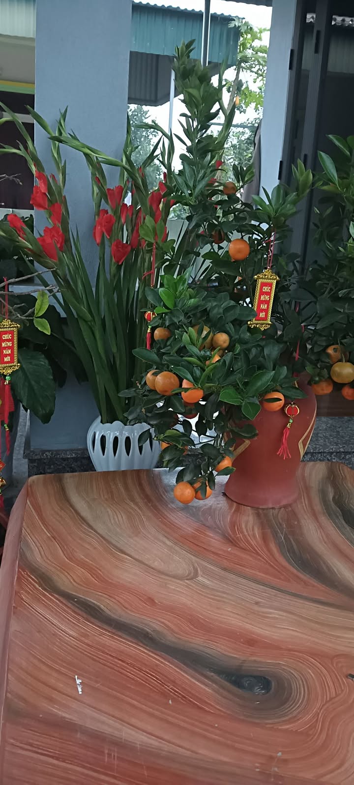 Bán Đất Nền 100m² Khu Đô Thị Sao Mai, Thanh Hóa - Sẵn Sàng Xây Dựng