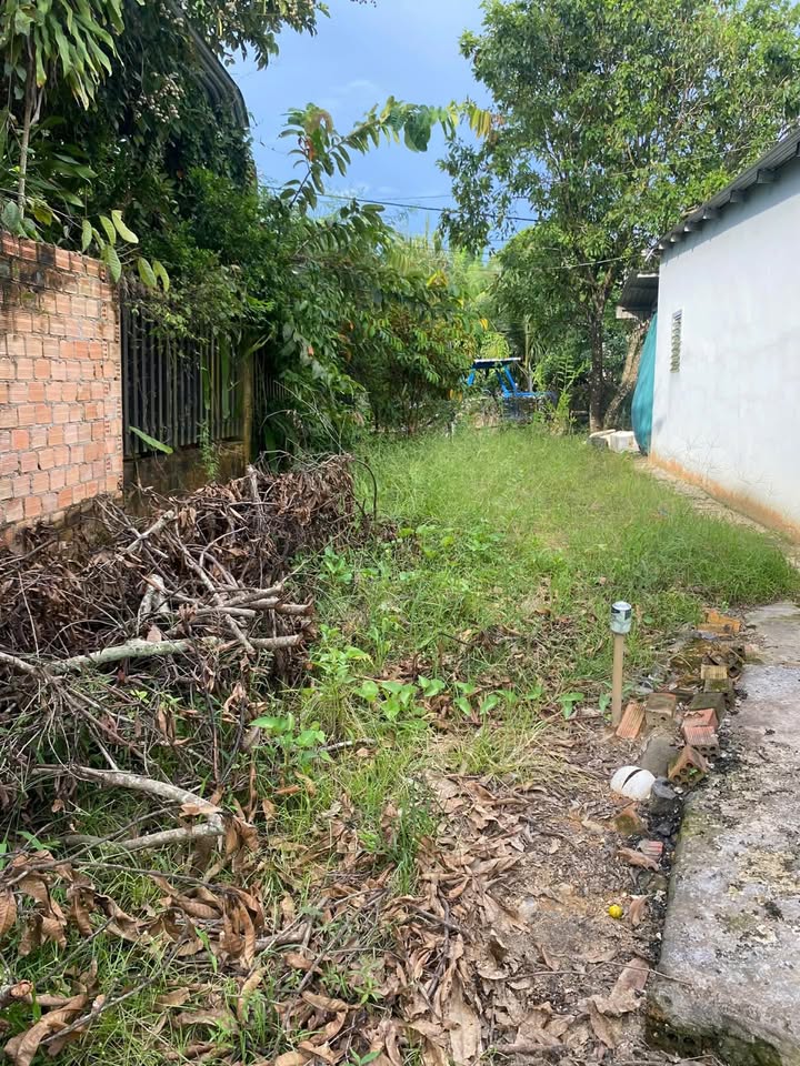 Đất nền Cát Tiên 197.6m² - Ngang 5.2m - Thổ cư 100% - Giá 530 triệu